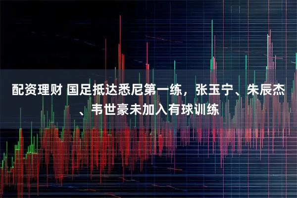 配资理财 国足抵达悉尼第一练，张玉宁、朱辰杰、韦世豪未加入有球训练