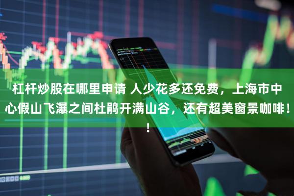 杠杆炒股在哪里申请 人少花多还免费，上海市中心假山飞瀑之间杜鹃开满山谷，还有超美窗景咖啡！